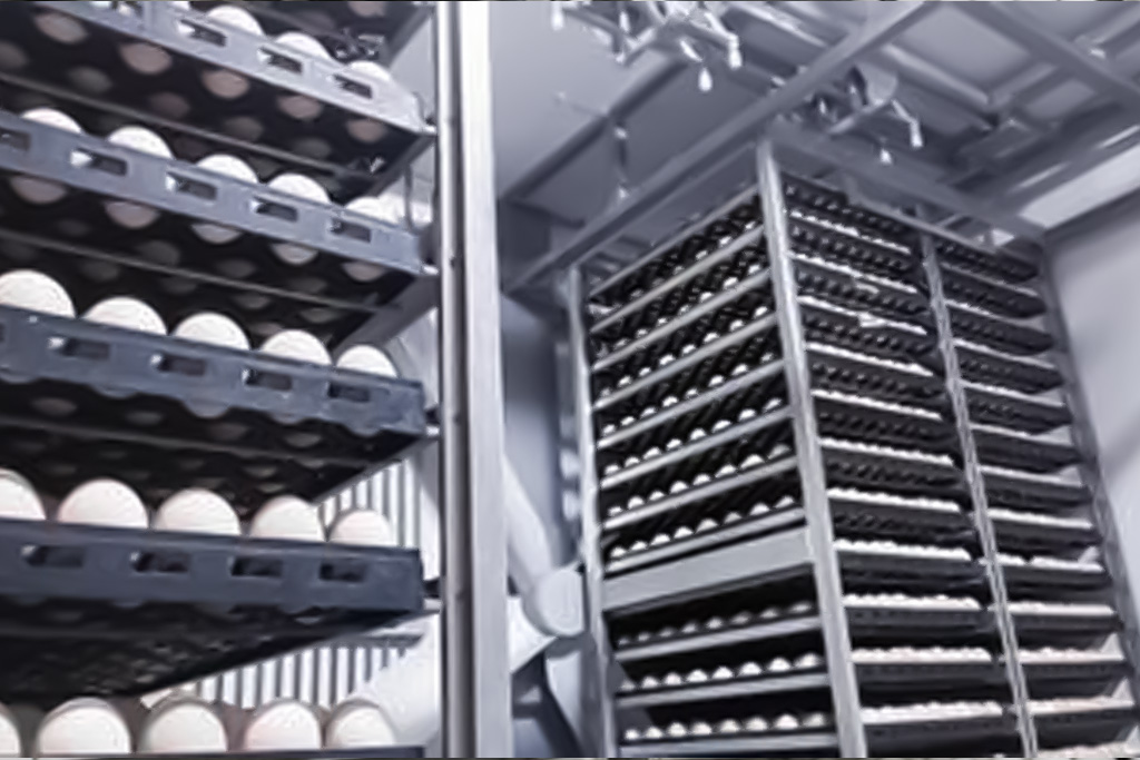 RL Fresh Hatchery Integration Image one